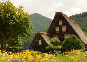 Discover Shirakawa-go and Gokayama in Japan during the summer