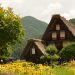 Discover Shirakawa-go and Gokayama in Japan during the summer