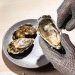 Chatrium Grand Bangkok Hosts The Oyster World Cup Gastronomy 2026