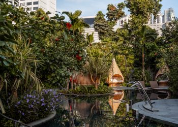 Damai At Grand Hyatt Singapore Unveils Refreshed Spa And Wellness Menu