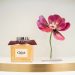 Chloé Fragrances Celebrates New Fragrance Kiosk at VivoCity